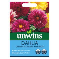 5051618010733 1 Dahlia Unwins Dwarf Hybrids Seeds.jpg